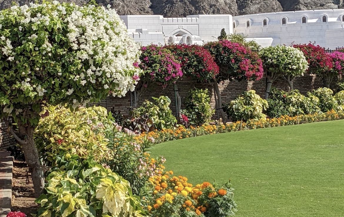 Asado South American